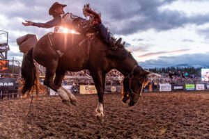 _ROD6400 - Ranch & Co Interiors