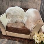 Lamb Pouf - Ranch & Co Interiors