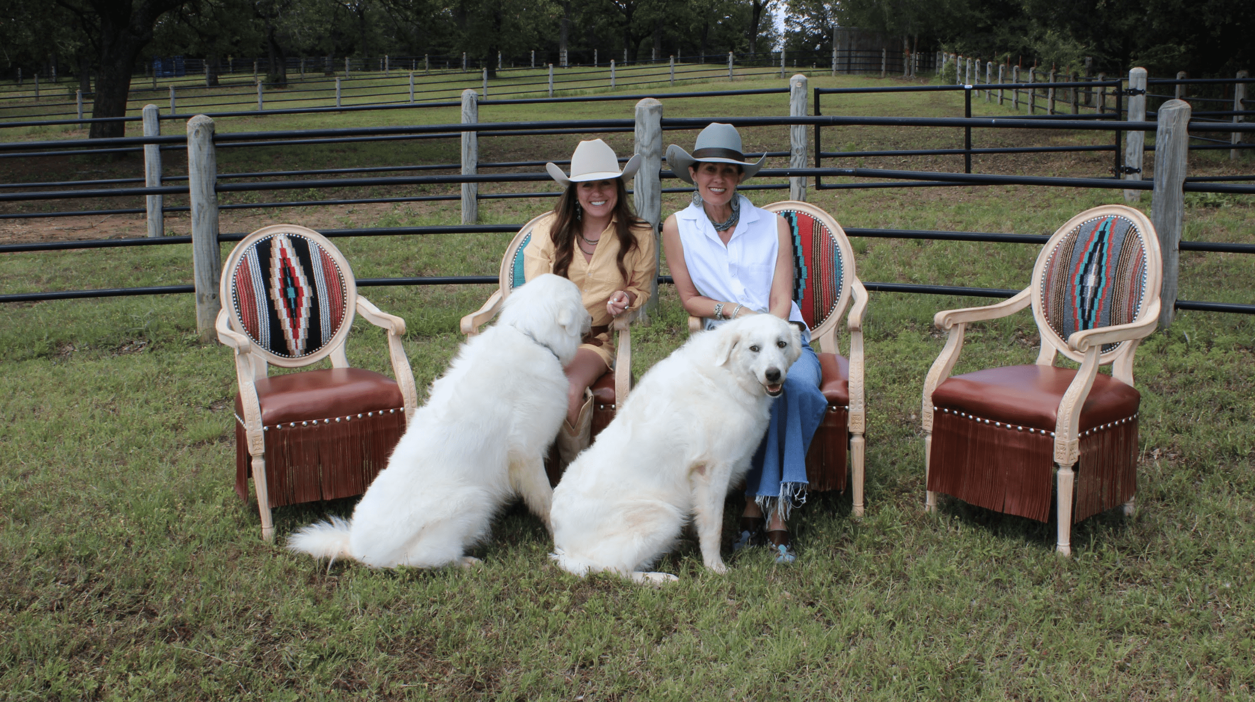 Screen Shot 2024-06-15 at 94828 PM