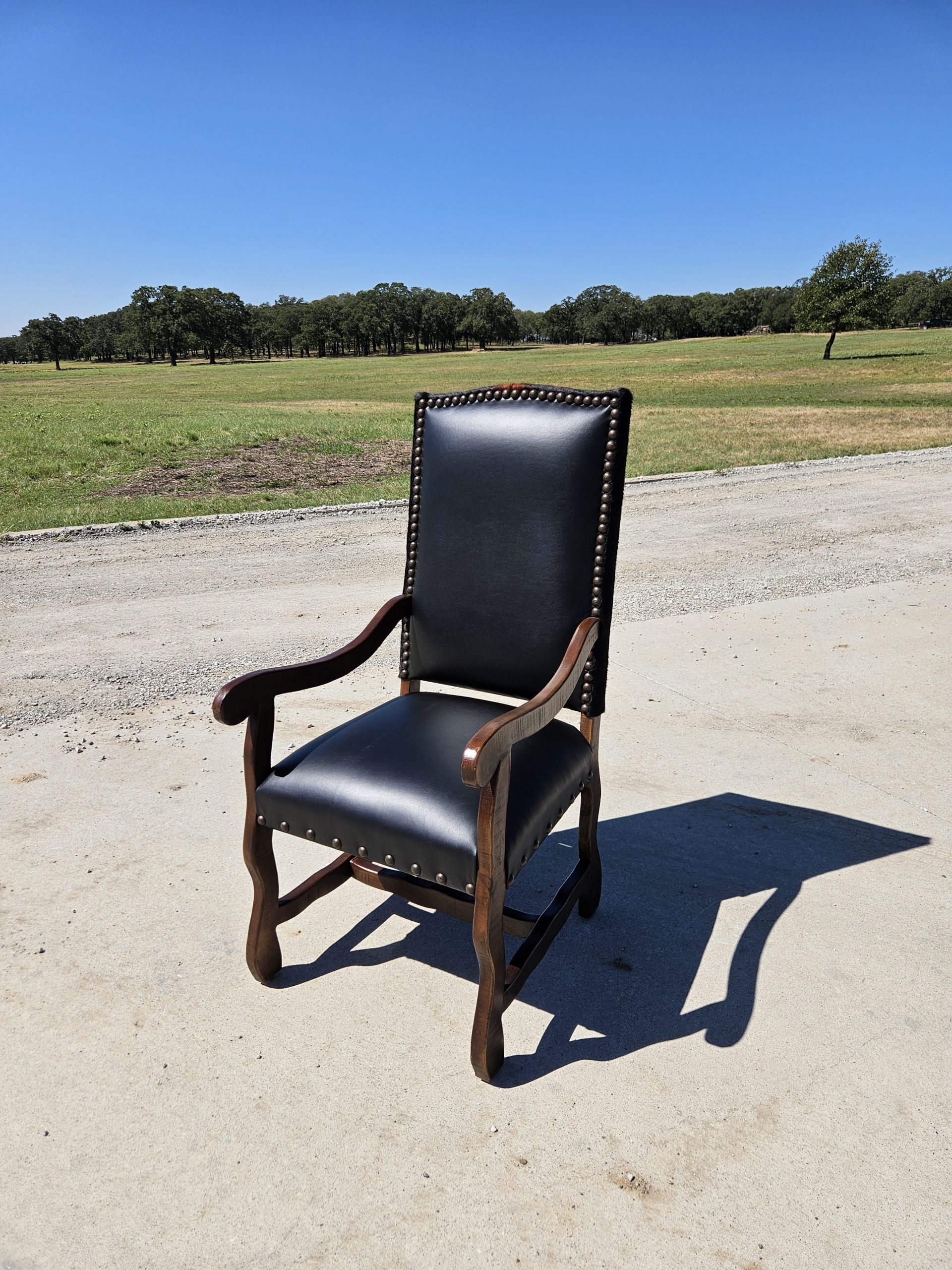 Ponaka Dining Chair with ArmsFront - Ranch & Co Interiors