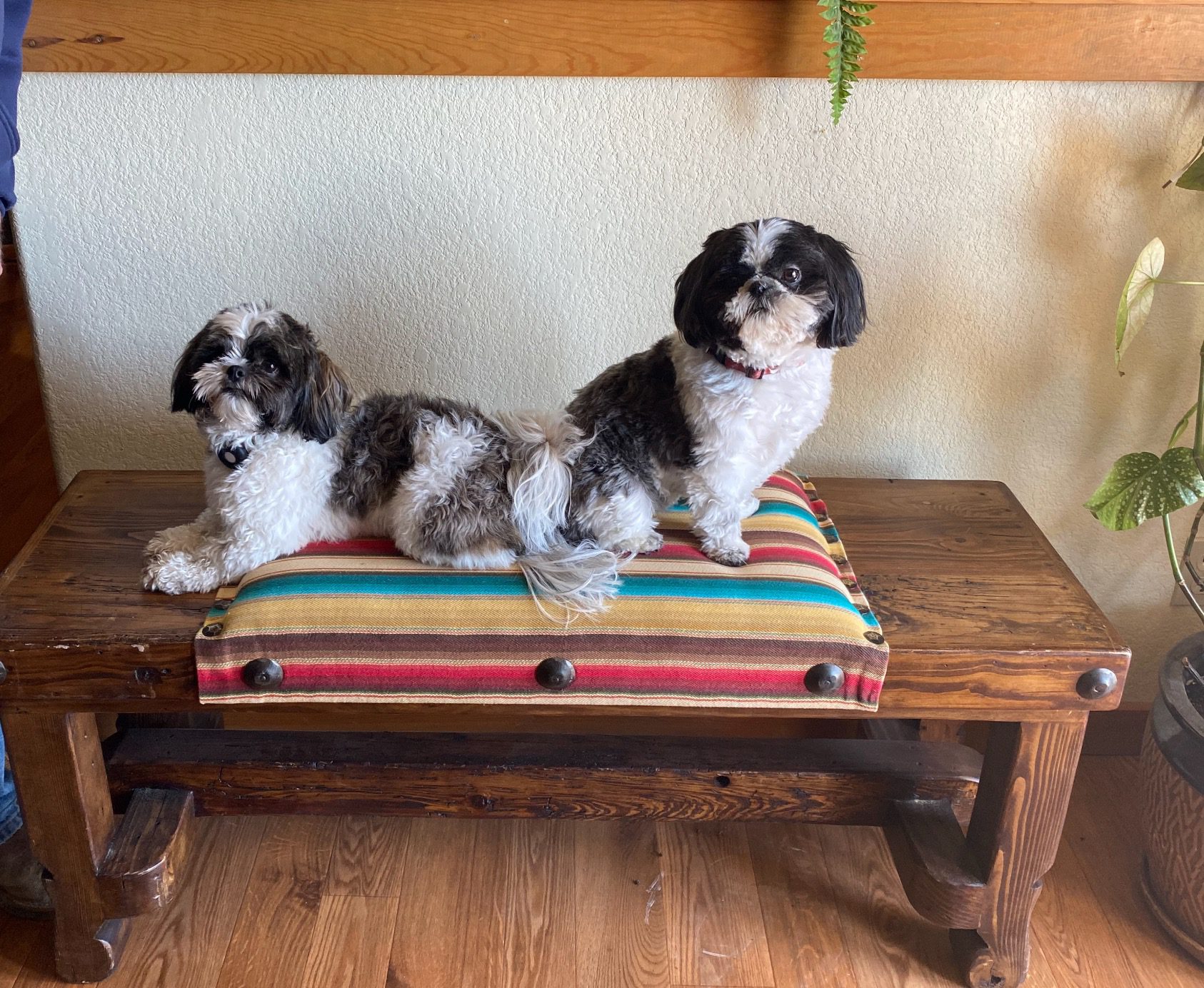 Screenshot - Ranch & Co Interiors