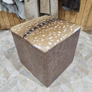 The Oakdale Exotic Square Cube