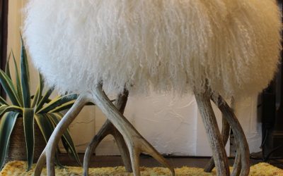 The Merril Tibetan lamb with Antler legs